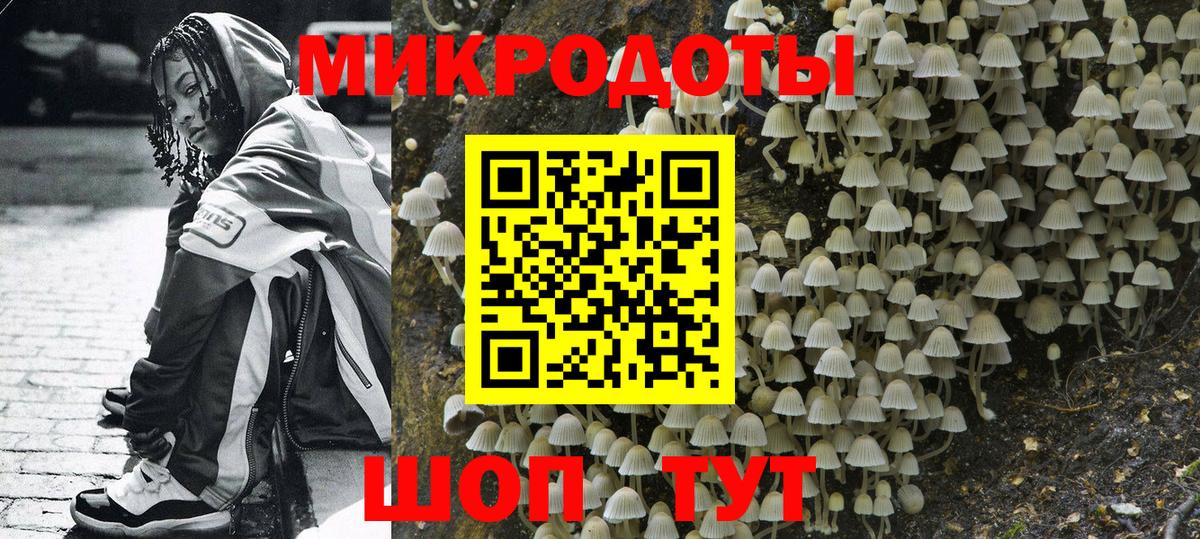 Галлюциногенные грибы Psilocybe Раменское