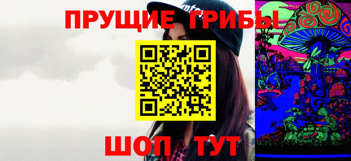 закладки  Вход с VPN  Раменское  Псилоцибиновые грибы ЛСД  Псилоцибиновые грибы Magic Shrooms 